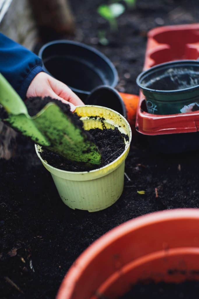 potting soil