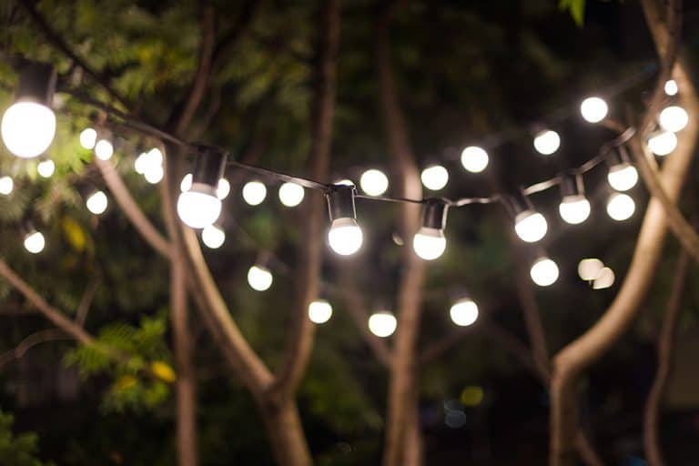 Best Outdoor Solar Lights For Trees [2022 Guide]