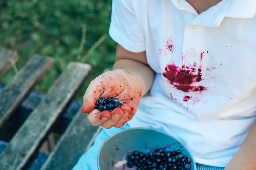 How To Get Blueberry Stains Out