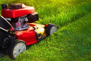 When to mow after overseeding