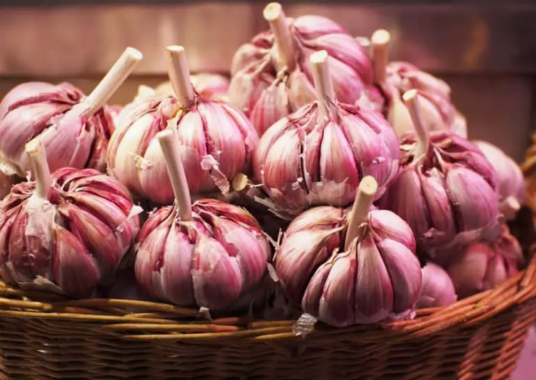 Why Is My Garlic Purple? [And Is It Better Than White Garlic?]2022