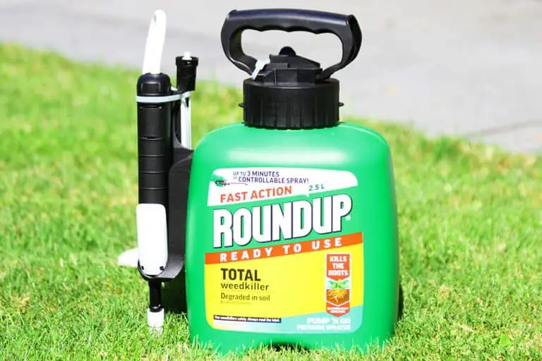Best Weed Killer For Large Areas of 2022