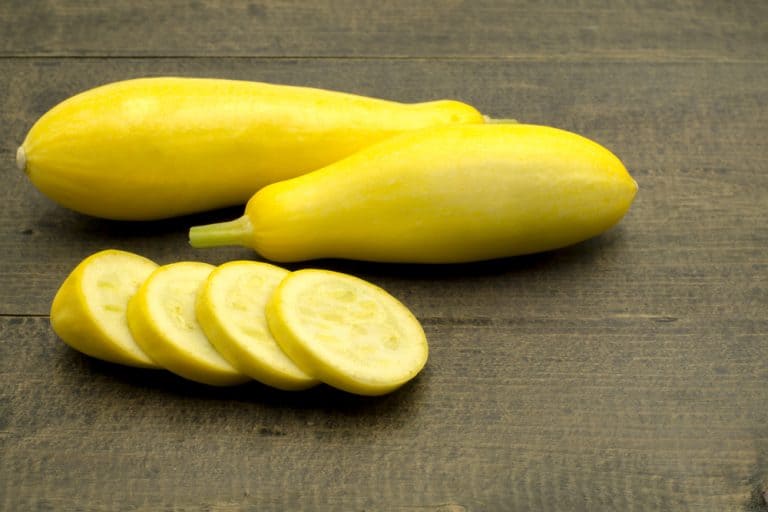 When To Pick Yellow Squash (Harvest The RIGHT Way!)