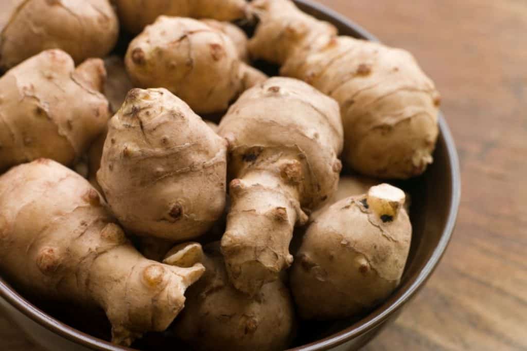 best permaculture plants ginger