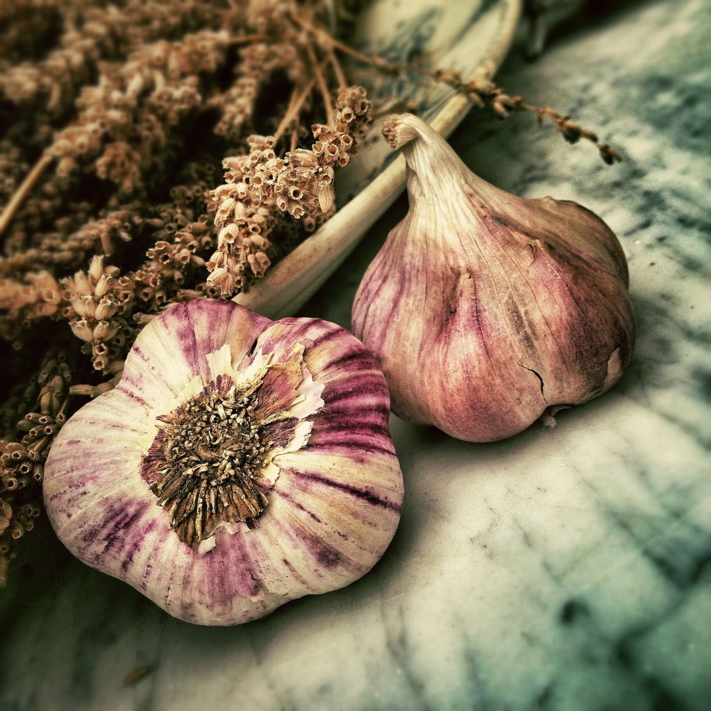 why is my garlic purple