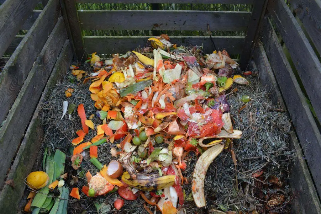Does a compost bin smell
