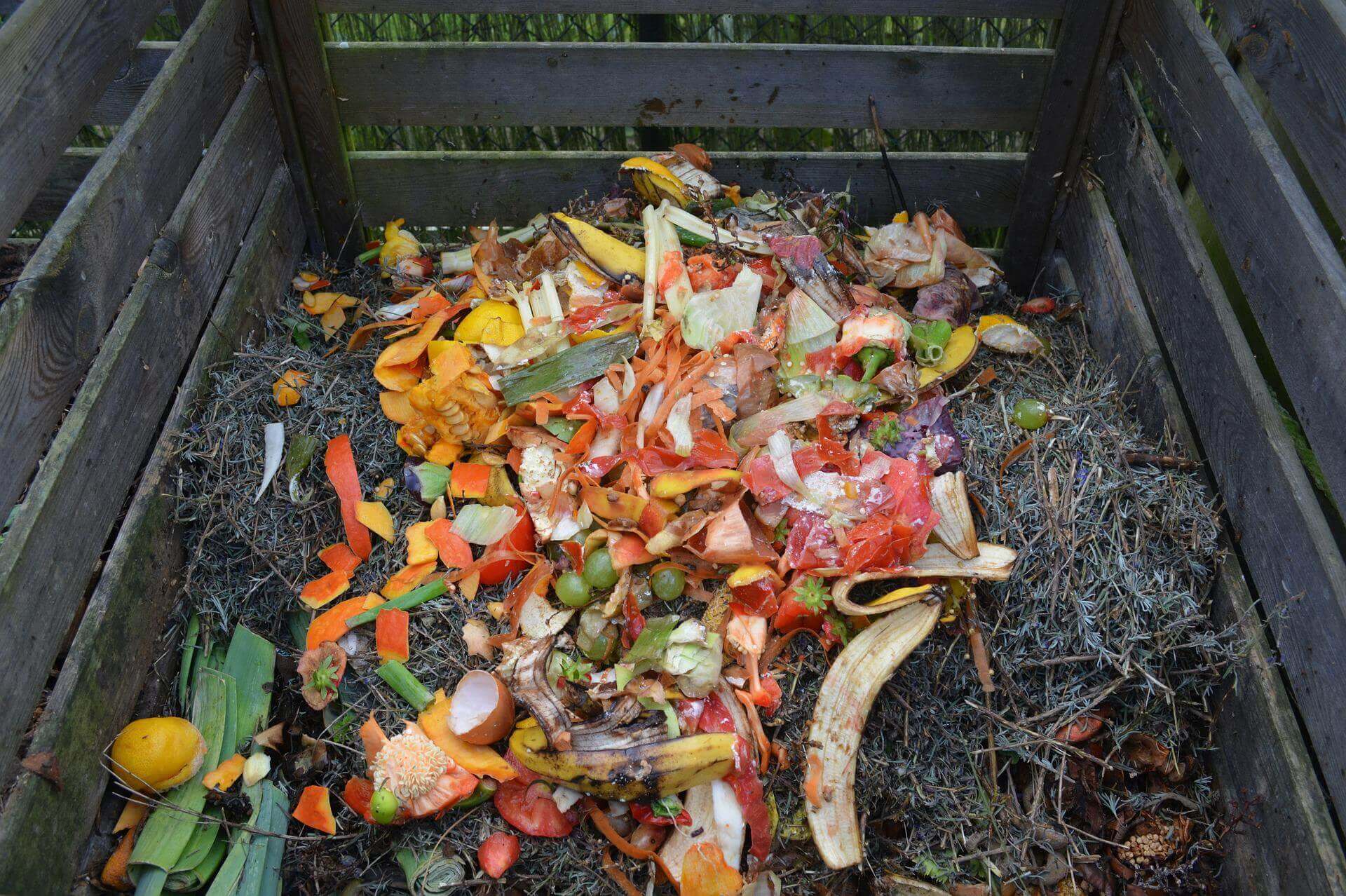 Does A Compost Bin Smell? And How To Get Rid Of It