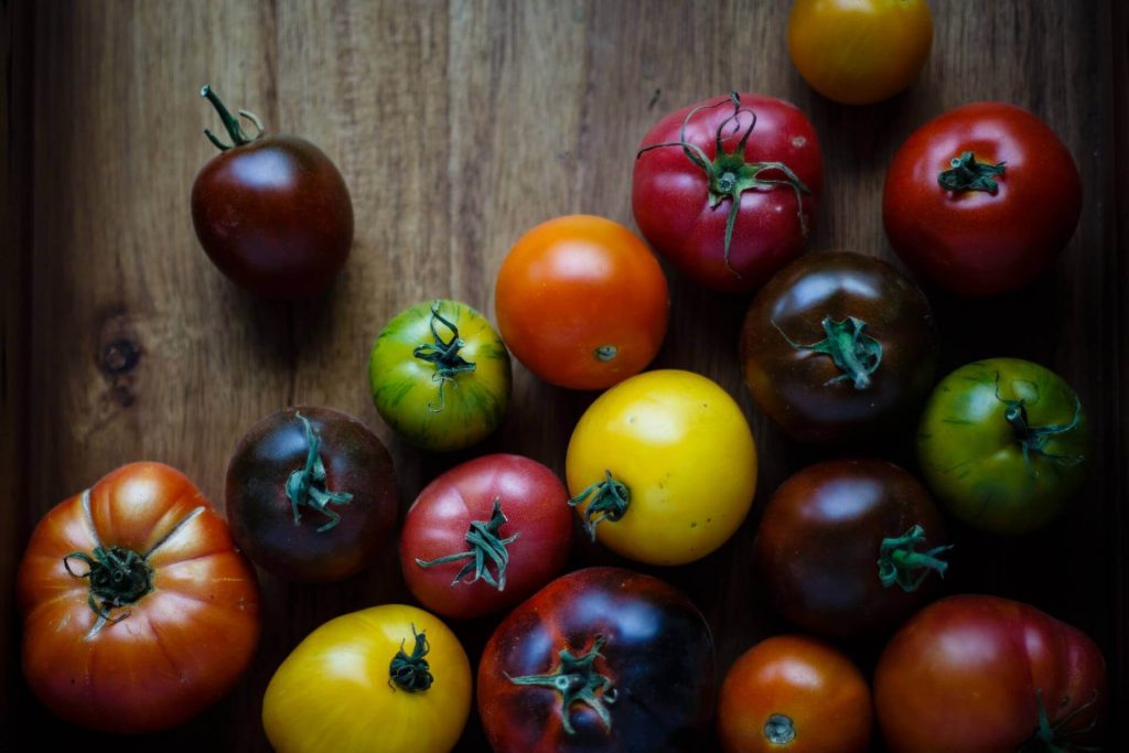 How To Grow Tomatoes From Seeds Without Soil 
