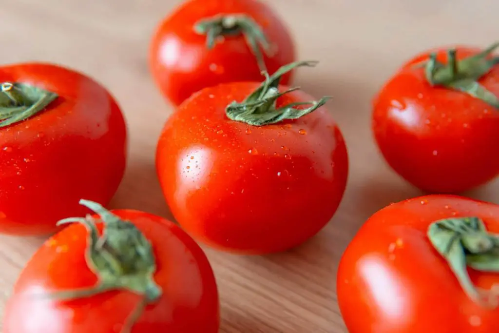 how to grow tomatoes in a polytunnel