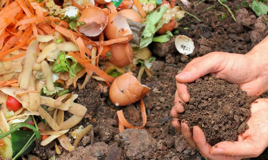 Is organic compost a fertilizer