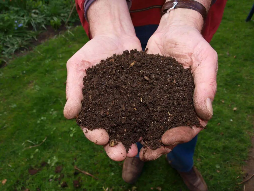 Is organic compost a fertilizer