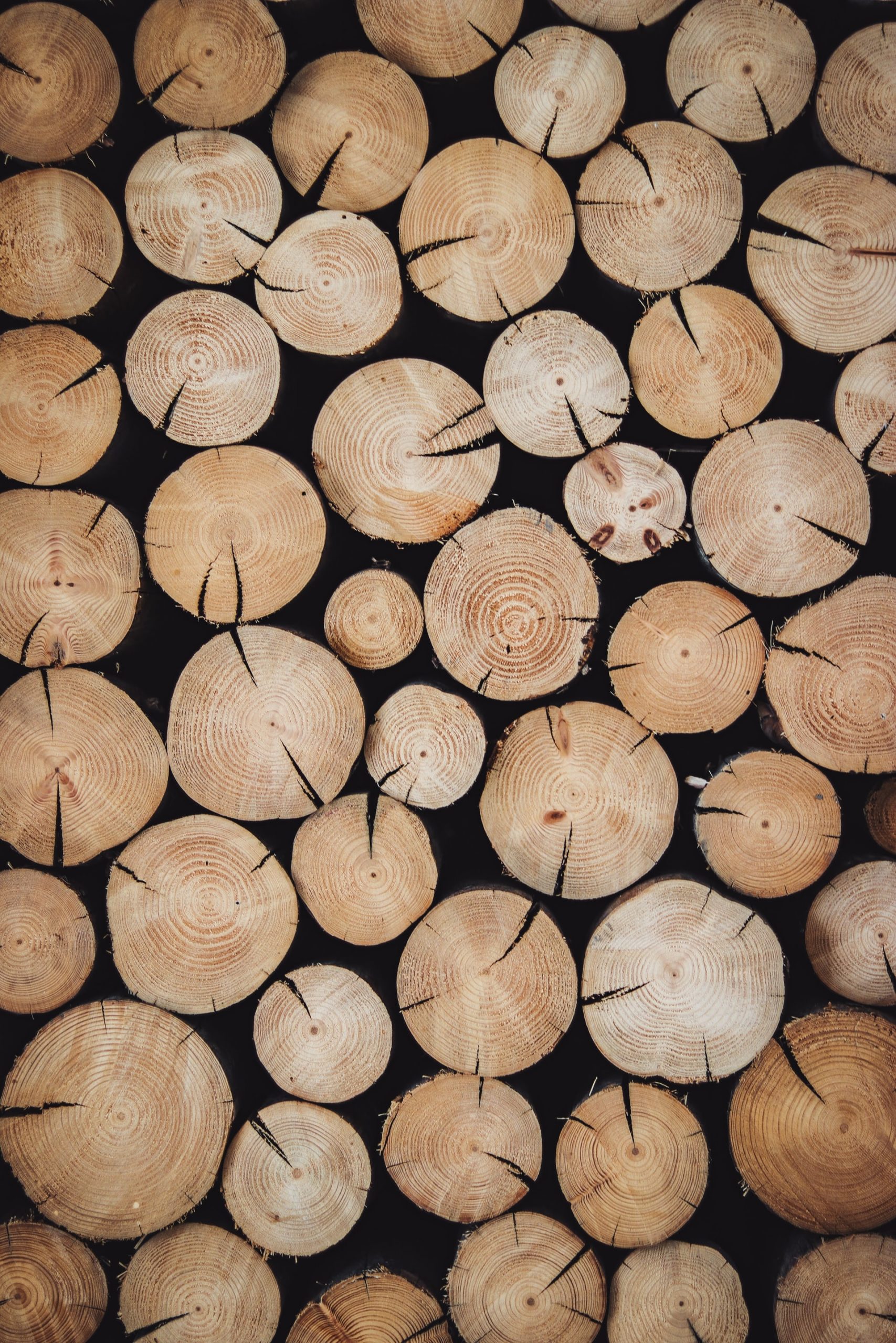 How To Treat Untreated Wood For Outdoor Use
