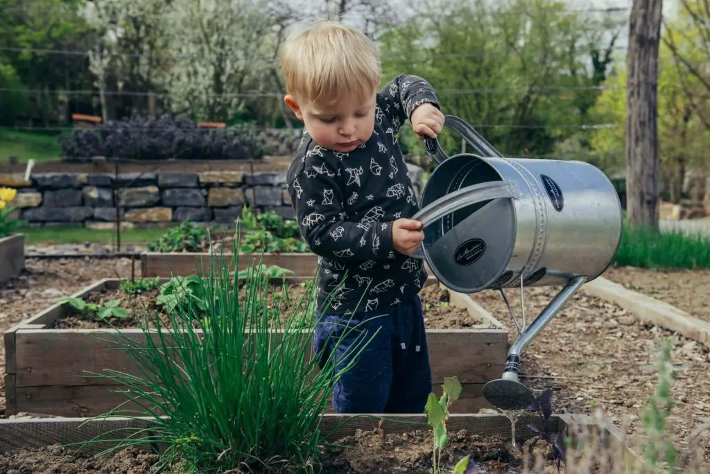 benefits of mushroom compost 