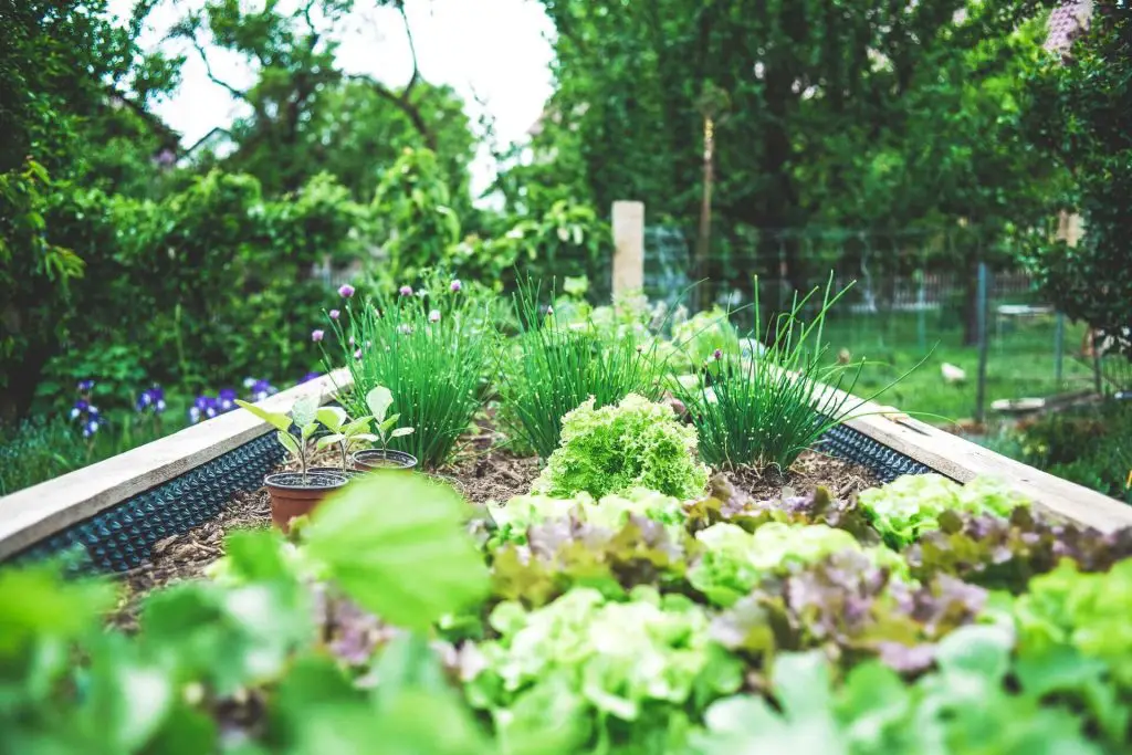 benefits of mushroom compost 