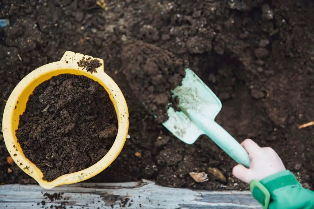 Benefits of mushroom compost