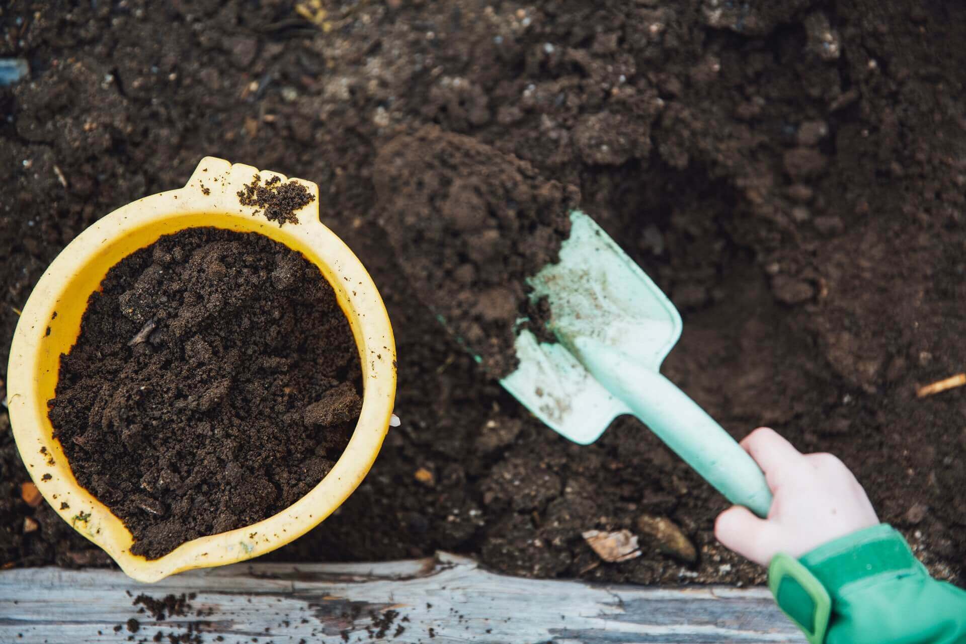 7 Benefits Of Mushroom Compost All The Important Info!