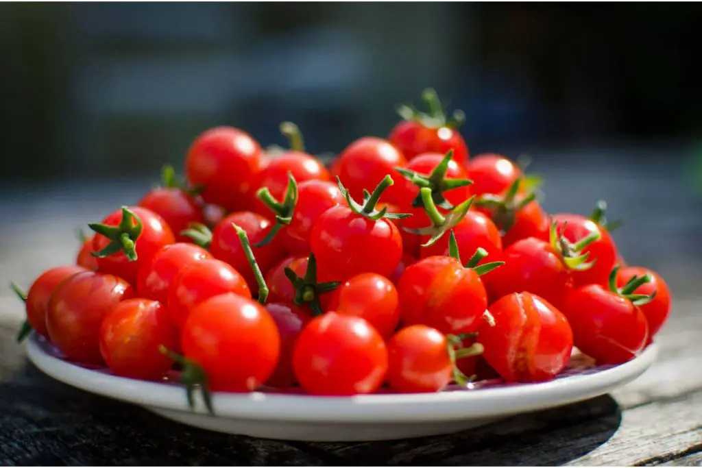 how to grow cherry tomatoes in pots