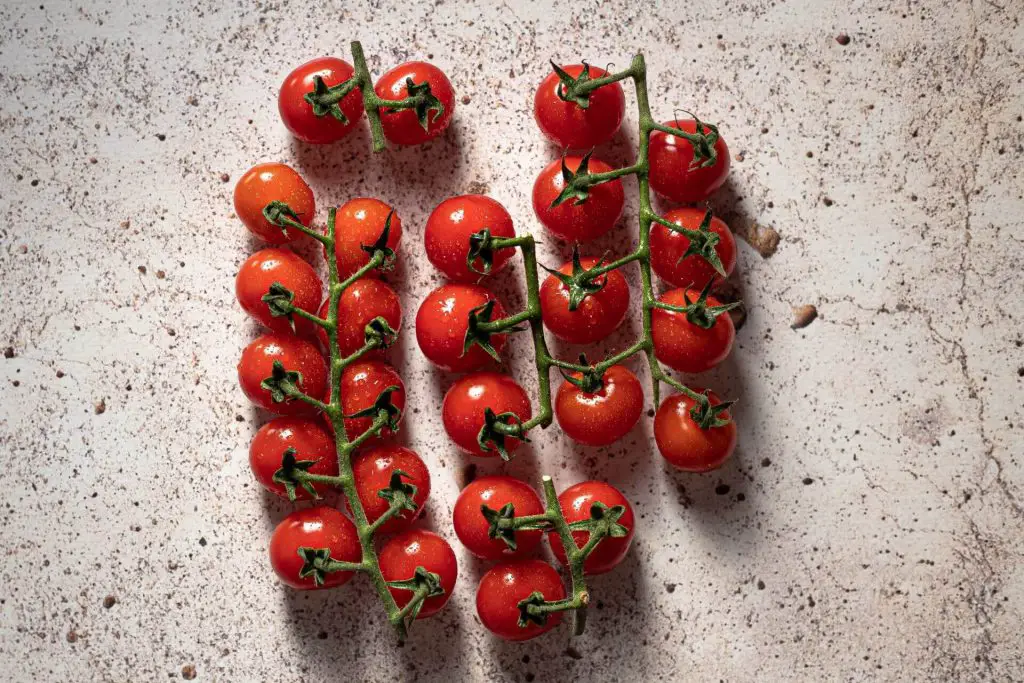 how to grow cherry tomatoes in pots 