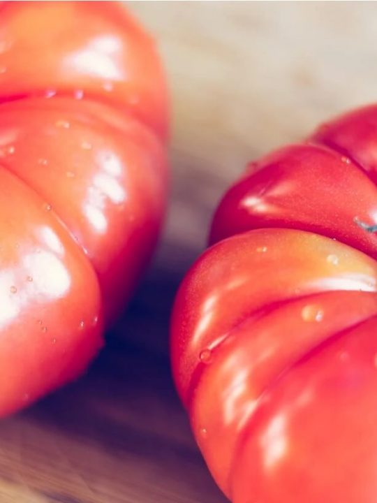 how to grow oxheart tomatoes