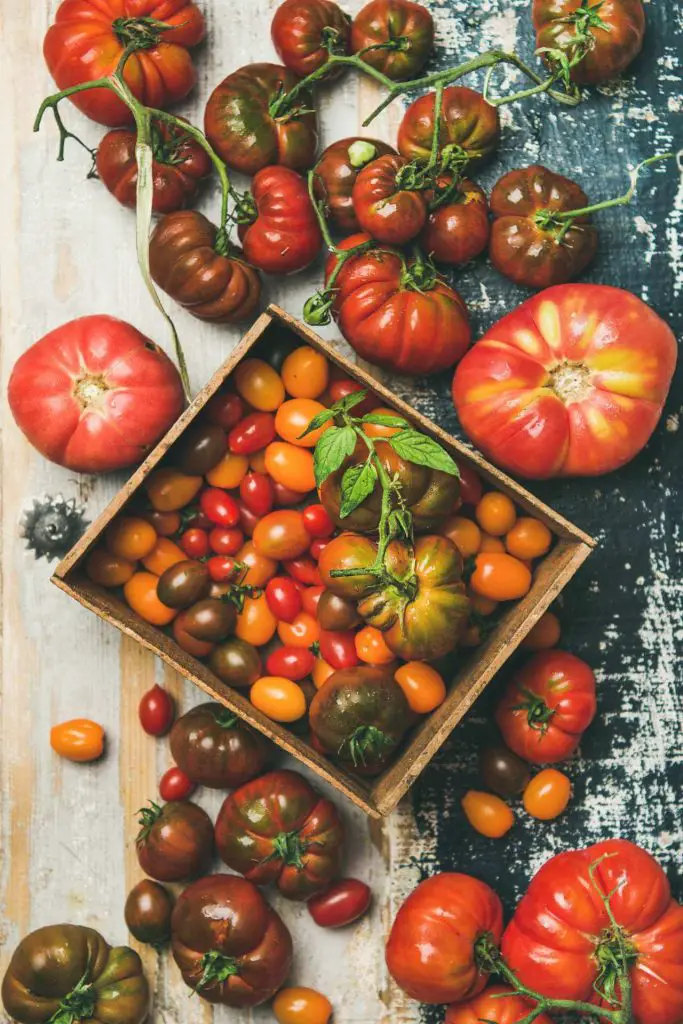 how to grow tomatoes from supermarket 