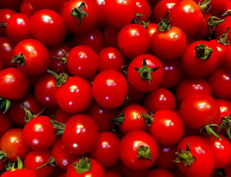 How To Grow Tomatoes Indoors Like A Pro! 2022