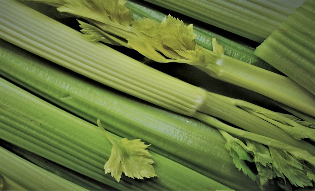 companion plants for celery