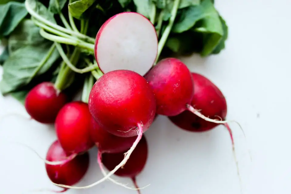 13 Companion Plants For Turnips Best and Worst! [2023]