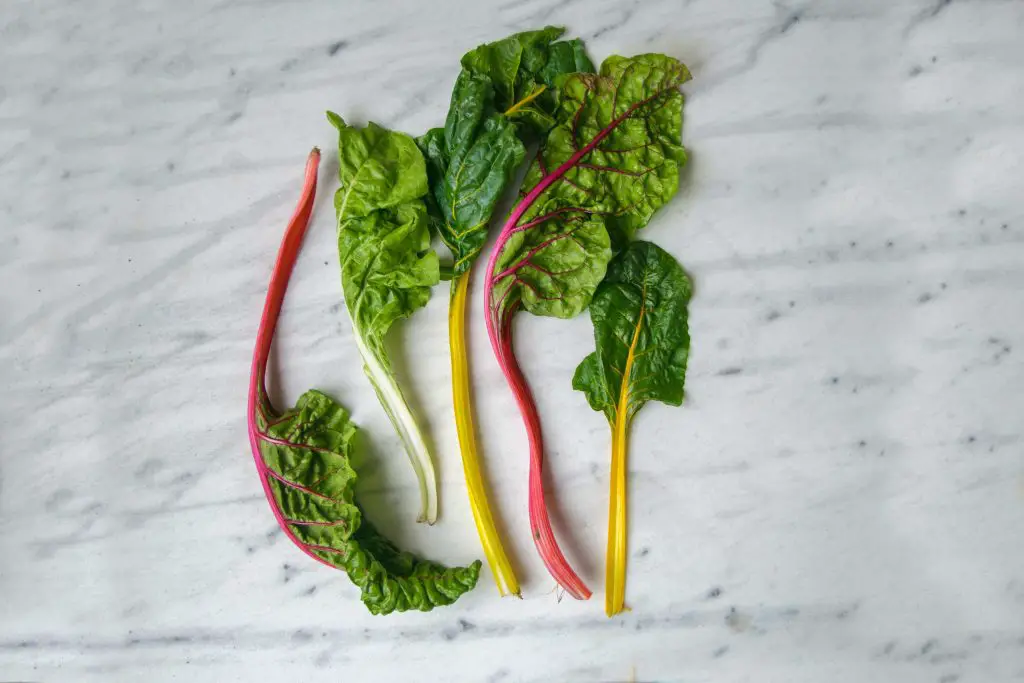 how to harvest swiss chard without killing the plant