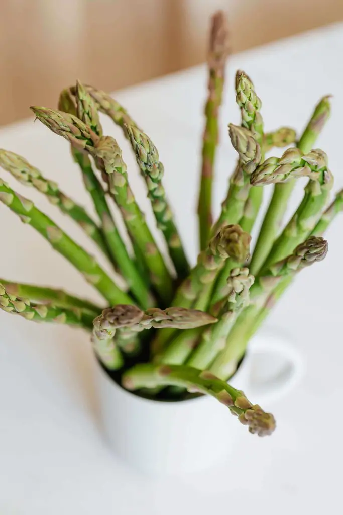 companion plants for asparagus