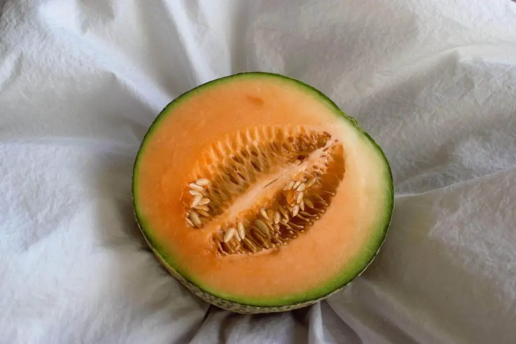 companion plants for cantaloupe